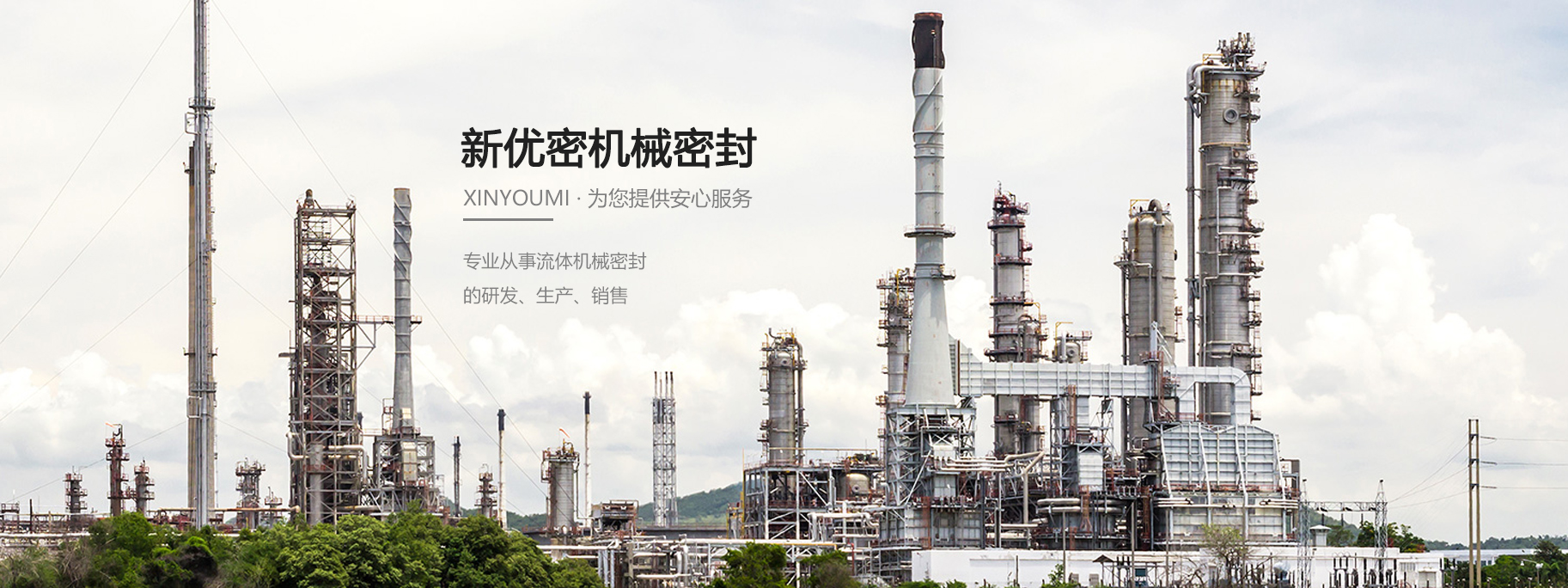 公司介绍